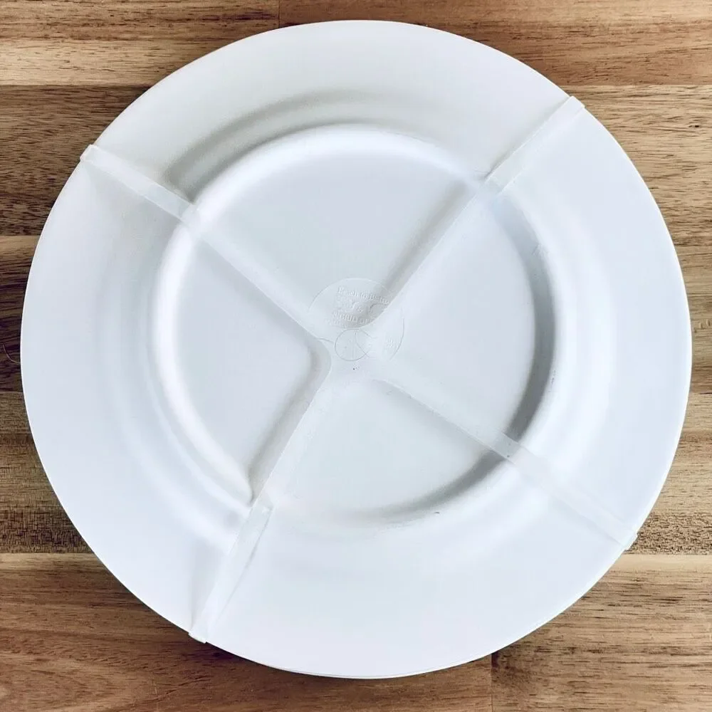 NWT Set of 4 Beach to Bistro 9” SIGRID OLSEN Lemons 100% Melamine Salad Plates